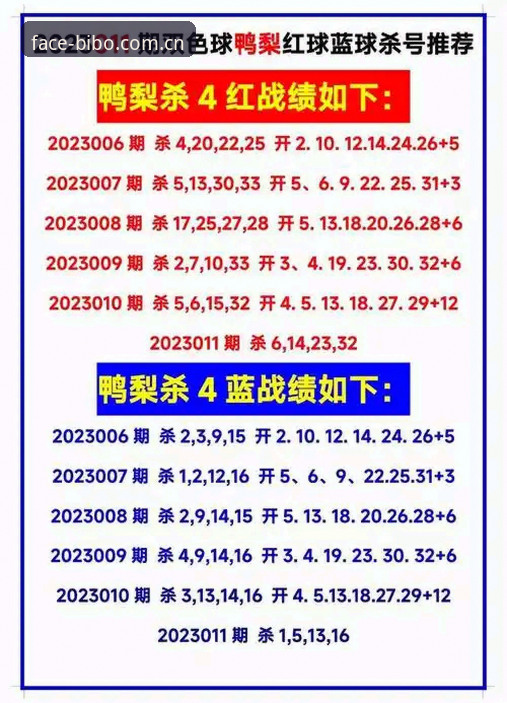 2025必博体育官方中文主页入口的实用技巧与老用户经验分享